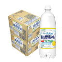 【あす楽】 【送料無料】サンガリア 伊賀の天然水 強炭酸水 グレープフルーツ 1000ml(1L)×24本（2ケース）