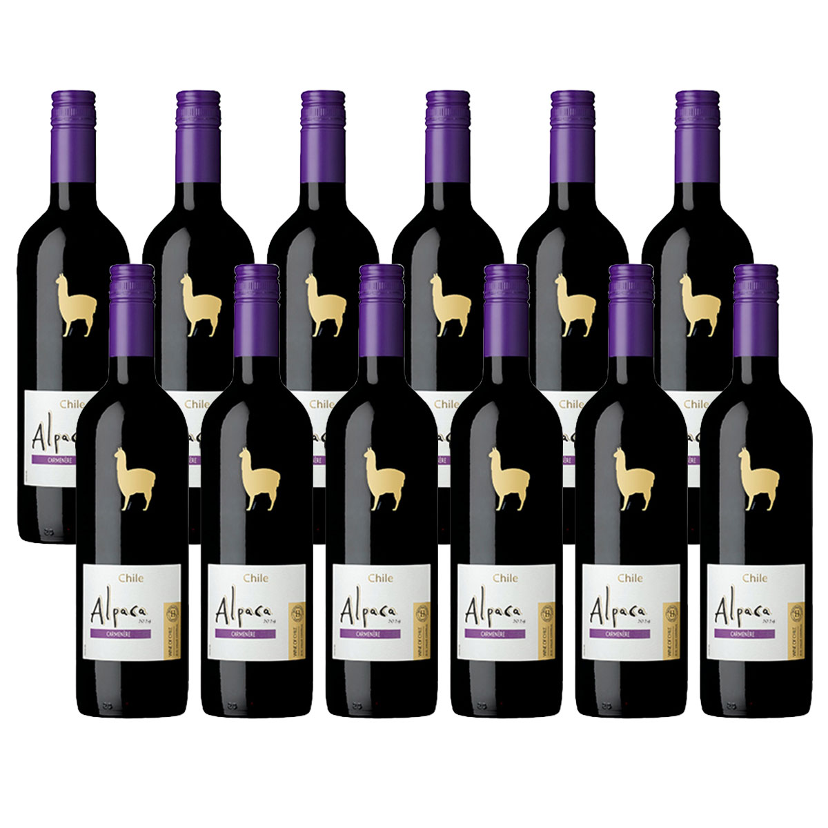 11/20〜11/22限定P2倍 【抽選で1等2万ポイント当たる!】【予約】11/27頃発送 【送料無料】サンタヘレナ アルパカ カルメネール 750ml×12本【北海道・沖縄県・東北・四国・九州地方は必ず送料がかかります】