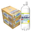【最強配送】 【送料無料】サンガリア 伊賀の天然水 強炭酸水 グレープフルーツ 500ml×2ケース/48本