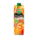 5/5限定P3倍 【送料無料】KAGOME カゴメ 野菜生活100 Smoothie ビタミンスムージー 1000ml 1L×2ケース/12本