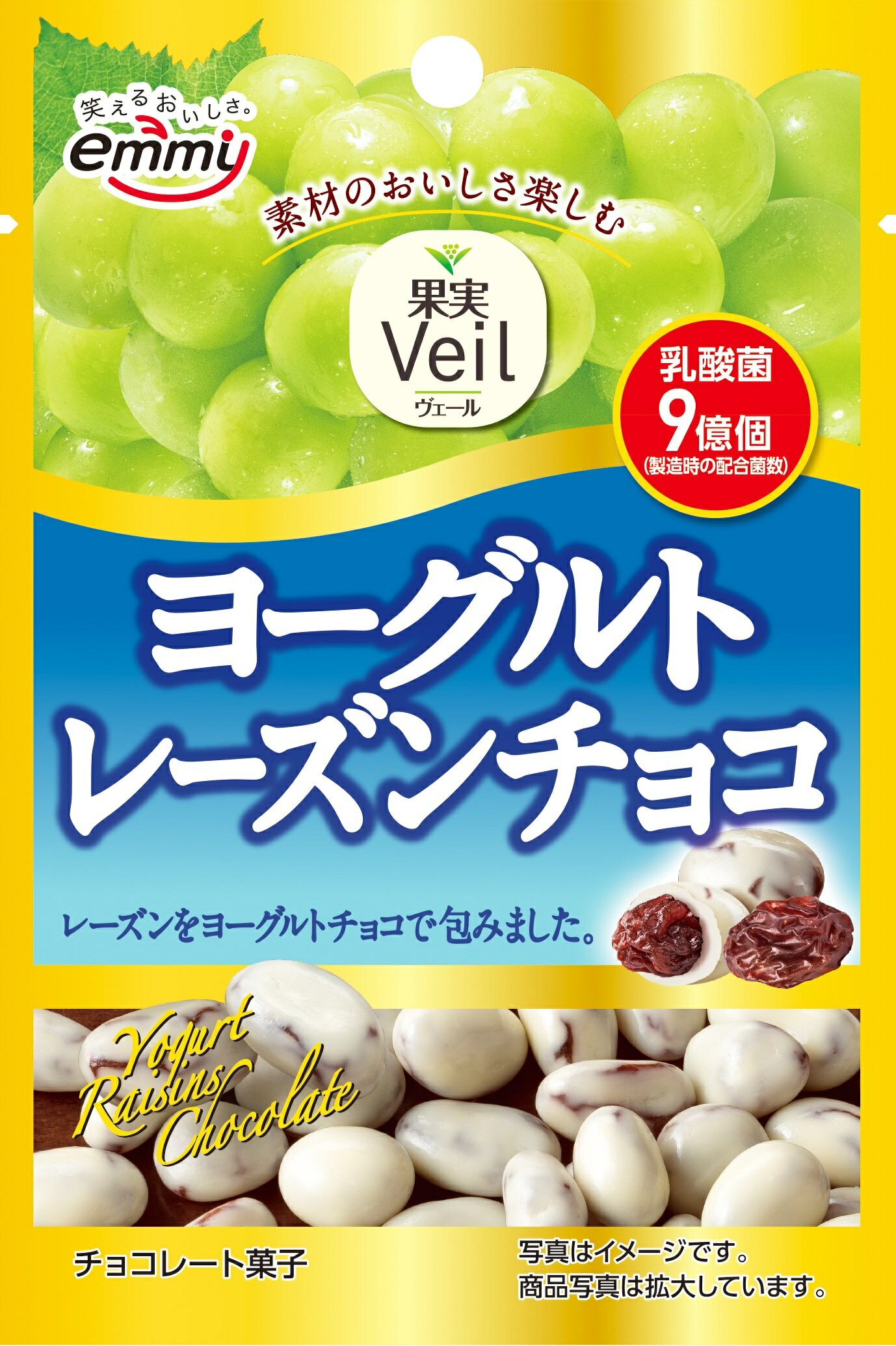 2/1限定全品P3倍＆300円OFFクーポン取得可 【送料無料】正栄デリシティ 果実Veilヨーグルトレーズンチョコ 35g×24個のサムネイル