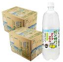 【送料無料】サンガリア サンサワーグレープフルーツ 1000ml 1L×2ケース/24本SANGARIA 割材 割り材 サワー