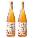 6/1は食フェス300円OFFクーポン取得可 【送料無料】高千穂酒造 熟成 高千穂梅酒 14度 720ml×2本【本州(一部地域を除く)は送料無料】