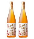 【送料無料】高千穂酒造 熟成 高千穂梅酒 14度 720ml×2本【本州(一部地域を除く)は送料無料】