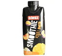 【送料無料】DIMES ディメス マンゴーミックス スムージー310ml×2ケース/24本スムージー