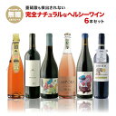 6/1は食フェス300円OFFクーポン取得可 亜硫酸も検出されない 完全ナチュラルなヘルシーワイン 【北海道・東北・四国・九州・沖縄県は必ず送料がかかります】ワ...