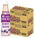 【送料無料】Dydo ダイドー×ロート ベリーウォーター350ml×2ケース/48本
