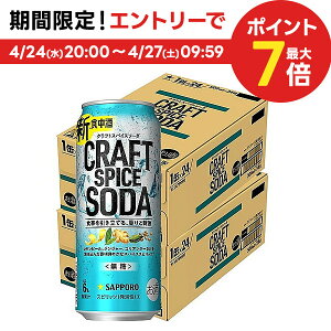 4/30日限定P2倍 【送料無料】サッポロ クラフトスパイス ソーダ 500ml×2ケース/48本【北海道・沖縄県・東北・四国・九州地方は必ず送料がかかります】