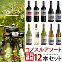 あす楽 ワイン ワインセット よりどり選べる コノスル ヴァラエタル シリーズ 12本 ワインセット 北海道・東北・九州・四国・沖縄県は必ず送料が掛かります 