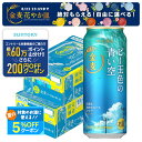 【最強配送】【送料無料】サントリー 金麦 ビー玉色の青い空 500ml×2ケース/48本発泡酒 期間限定 爽やかエールタイプ