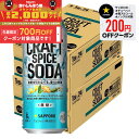 【食いしんぼう祭 先着700円OFFクーポン対象】【最強配送】【送料無料】サッポロ クラフトスパイス ソーダ 500ml×2ケース/48本【北海道・沖縄県・東北・四国・九州地方は必ず送料がかかります】