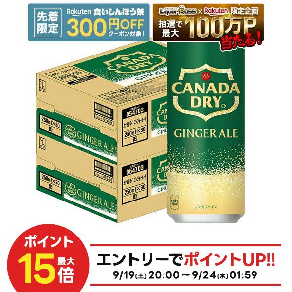 【先着300円OFFクーポン】【最強配送】【送料無料】コカ・コーラ カナダドライ ジンジャーエール250ml×2ケース/60本