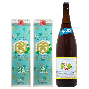 キンミヤ焼酎 25度 パック1800ml×2本・天羽の梅 青ラベル 1800ml×1本 下町ハイボールセット(うめ)【宮崎本店 天羽飲料製造 三重県 東京 甲類 清涼飲料水 焼酎セット】