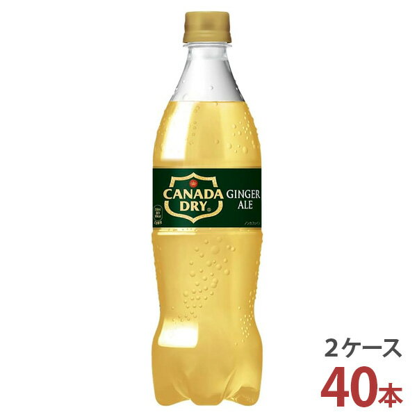 カナダドライ ジンジャーエール 700mlPET×20本入り［2ケース 40本］【送料無料 コカ・コーラ社 炭酸飲料 2ケース メーカー直送】のサムネイル