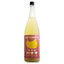 梅仙人 門司港バナナ梅酒 9度 1800ml【小林酒造本店 福岡県 バナナ リキュール 一升瓶】(4)