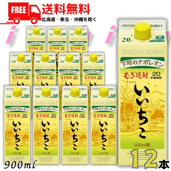 送料無料 いいちこ 焼酎 20度 900ml 2ケース 12本 スリムパック 麦焼酎 三和酒類【東北・北海道・沖縄・離島の一部を除く（東北は400円、北海道・沖縄はプラス1200円いただきます）】