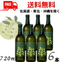 【送料無料】【麦焼酎】チルグリ－ン 25度 720ml 瓶 1ケース 6本 CHILL GREEN spicy & citrus ボタニカル系 焼酎 濱田酒造 【東北・北海道・沖縄・離島の一部を除く（東北は400円、北海道・沖縄はプラス1200円いただきます）】