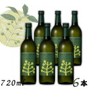 チルグリーン 緑 スパイシー&シトラス 25度 720ml 瓶 1ケース 6本 CHILL GREEN spicy & citrus ボタニカル系 焼酎 麦焼酎...
