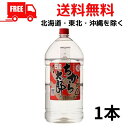 【送料無料】ちから太郎 25度 麦 5L ペット 1本 5000ml 麦焼酎 若松酒造 【東北・北海道・沖縄・離島の一部を除く（東北は400円、北海..