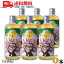 送料無料 天空の月 樽熟梅酒 12度 720ml 瓶 1ケース 6本 梅酒 老松酒造【東北・北海道・沖縄・離島の一部を除く(東北は400円、北海道・沖縄はプラス1200円いただきます)】