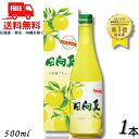 高千穂 日向夏みかん酒 14度 500ml 瓶 1本 高千穂酒造 送料無料