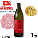 【胡麻焼酎】【送料無料】 紅乙女 スタンダード 25度 900ml 瓶 1本 ごま焼酎 紅乙女酒造【東北・北海道・沖縄・離島の一部を除く（東北..