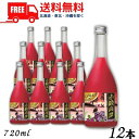 【送料無料】【しそ焼酎】 赤 鍛高譚 20度 720ml 瓶 1ケース 12本 合同酒精【東北・北海道・沖縄・離島の一部を除く(東北は400円、北海道・沖縄はプ...