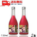 【送料無料】【しそ焼酎】 赤鍛高譚 20度 720ml 瓶 2本 合同酒精【東北・北海道・沖縄・離島の一部を除く（東北は400円、北海道・沖縄はプラス1200円いただきます）】