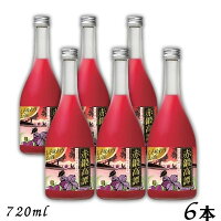 【しそ焼酎】しそ焼酎 赤鍛高譚 20度 720ml 瓶 6本 合同酒精