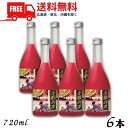 【送料無料】【しそ焼酎】 赤鍛高譚 20度 720ml 瓶 6本 合同酒精【東北・北海道・沖縄・離島の一部を除く（東北は400円、北海道・沖縄はプラス1200円いただきます）】