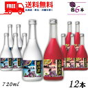 【送料無料】【しそ焼酎】 鍛高譚 と 赤鍛高譚 20度 720ml 瓶 12本 合同酒精【東北・北海道・沖縄・離島の一部を除く（東北は400円、北海道・沖縄はプラス1200円いただきます）】