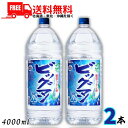 送料無料 ビッグマン 20度 4L ペット 2本 4000ml 焼酎甲類 合同酒精 【佐川急便限定】【東北・北海道・沖縄・離島の一部を除く】