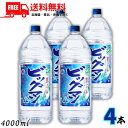 送料無料 ビッグマン 20度 4L ペット 1ケース 4本 4000ml 焼酎甲類 合同酒精 【佐川急便限定】【東北・北海道・沖縄・離島の一部を除く】