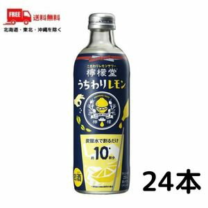 訳あり 【送料無料】檸檬堂 うちわりレモン 25度 300ml 瓶 1ケース 24本 チューハイ レモンサワーの素 コカコーラ 賞味期限2024年7月 のため【東北・北海道・沖縄・離島の一部を除く】