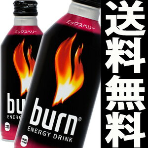【300mlボトル缶】（赤ボトル）　バーン　エナジードリンク　300mlx30本【burn ENERGY DRINK】【同一品2ケース迄1個口！】【クール送料は有料】[ギフト 炭酸飲料 栄養ドリンク ミックスベリー エナジー系 炭酸ジュース 人気 お祝い]