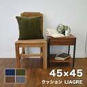 【SALE】クッション(ファスナー付き) 座布団 デスク チェア ソファ あったか 暖 保温 冬 無地 シンプル シニア 子供 おしゃれ オシャレ お洒落 カバーのみ洗える 洗濯OK 人気 韓国風 インテリア 『リアグル/LIAGRE』 約45×45cm(3)