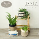 商品名 シェアリー/SHARELY プランターカバー S サイズ 約17×17cm 特長 ハンドメイド 組成 【BK】【IV】…(白黒部分)綿85%、 　　　　　　　ポリエステル5%、レーヨン5%、 　　　　　　　その他5%、レーヨン8%、 　　　　　　　毛4%、その他3% 　　　　　　　(茶色部分)植物繊維ジュート100% 【IV/BK】…綿85%、ポリエステル5%、 　　　　　　レーヨン5%、その他5% 原産国 インド 備考 ※輸入品の為サイズに多少の誤差があります。 ※カラーは印刷や撮影条件などから、実際の色と多少異なる場合があります。 ※北海道・沖縄・離島・一部地域へのお届けをご希望の場合、別途送料をいただきます。ご注文後に追加請求いたします。金額に関しましてはお問い合わせください。 プランターカバー インドマクラメ プラントカバー バスケット 小物入れ 鉢入れ 鉢カバー 植木鉢 ガーデニング おしゃれ オシャレ お洒落 ハンドメイド 人気 韓国風 インテリア 植物繊維 ジュート 白 黒 雑貨↓こちらはプランターカバーS (17×17cm)の商品ページ↓ シリーズ展開