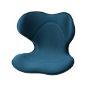 スタイル スマート(Style SMART) MTG(エムティージー) メーカー純正品 姿勢矯正 腰痛 骨盤サポートチェア 座椅子 (ネイビ