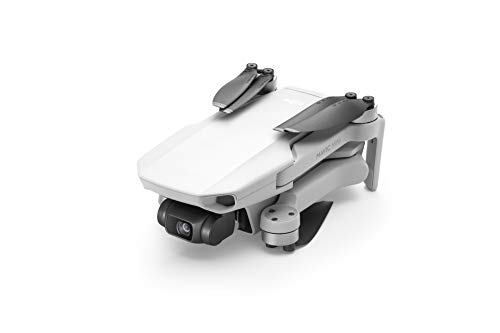 DJI ⥳ Mavic Mini ⡼IDбʤǤ