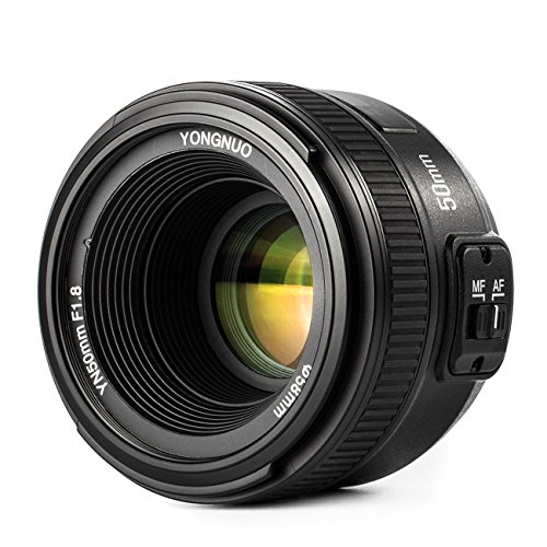 YONGNUO Nikon YN50mm F1.8N ñ ˥ Fޥ ե륵б ɸD5D4D850
