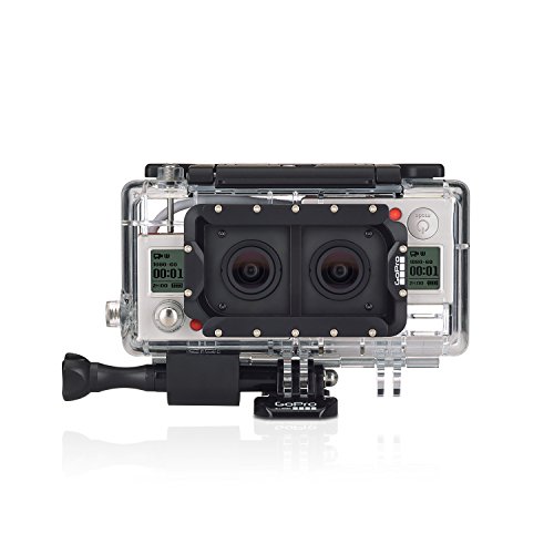 【国内正規品】 GoPro 純正アクセサリ デュアルヒーローシステム AHD3D-301