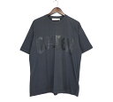 ゴールデングース GOLDEN GOOSE 【 G30MP533.A2 】 フロント ロゴ 半袖 Tシャツ グレー サイズM 40166 【中古】