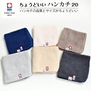 今治タオル ハンカチ ちょうどいいハンカチ20 ハンドタオル 20cm x 20cm プレゼント emoka プレゼント プチ ギフト 入学 入園 卒園 卒業 ...