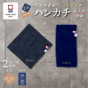 ミニハンカチ ハーフハンカチ 今治タオル 名入れ 無料 ふちラメ 日本製 15cm コンパクト レディース 保育園 幼稚園 小学校 入園 女の子 男の子 10×...