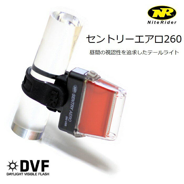 楽天市場】usb ナイトライダーの通販 楽天市場】usb ナイトライダーの通販
