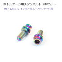 ボトルケージ用チタンボルト 2本セット M5×12mm 美しいレインボー仕上げ 軽量 高耐久 64チタン(4)