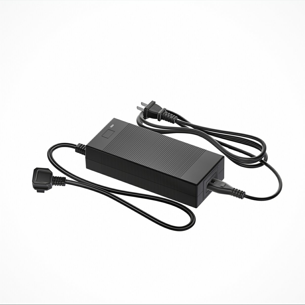 Litheli FrozenPack 専用 ポーダブル冷蔵庫用ACアダプター