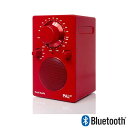 PAL BT2(pEr[eB[j2 Bluetooth bh |[^uWI Tivoli Audio(`{I[fBI)