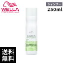 【最安価挑戦中】wella ウエラ プロフェッショナル エレメンツR シャンプー 250ml【サロン専売品/最短当日出荷】