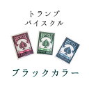 カード トランプ テンヨー ミステリーブレイド M